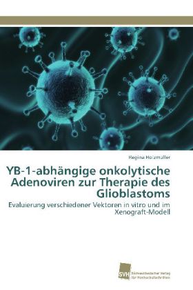 YB-1-abhängige onkolytische Adenoviren zur Therapie des Glioblastoms