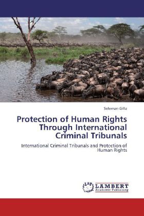 Protection of Human Rights Through International Criminal Tribunals