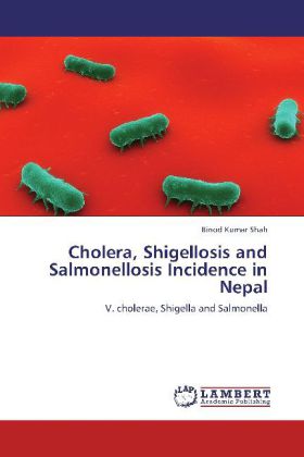 Cholera, Shigellosis and Salmonellosis Incidence in Nepal