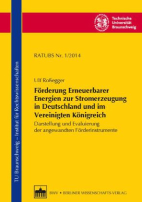 Förderung Erneuerbarer Energien zur Stromerzeugung in Deutschland und im Vereinigten Königreich
