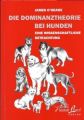 Die Dominanztheorie bei Hunden