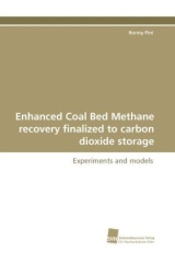 Enhanced Coal Bed Methane recovery finalized to carbon dioxide storage