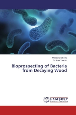Bioprospecting of Bacteria from Decaying Wood