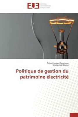 Politique de gestion du patrimoine électricité