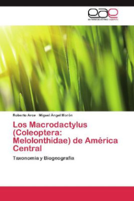 Los Macrodactylus (Coleoptera: Melolonthidae) de América Central