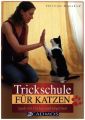 Trickschule für Katzen