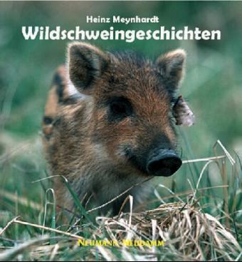 Wildschweingeschichten