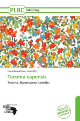Tecoma capensis