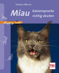 Miau - Katzensprache richtig deuten