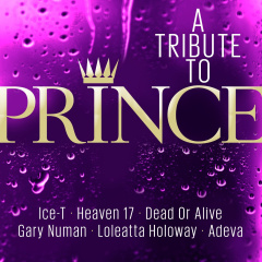 Tribute To Prince