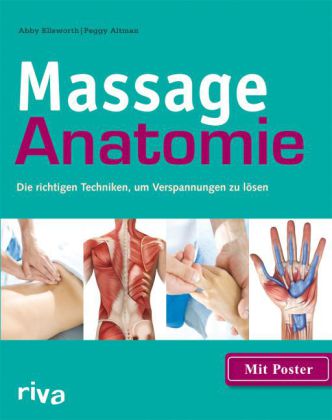 Massage-Anatomie, m. Poster