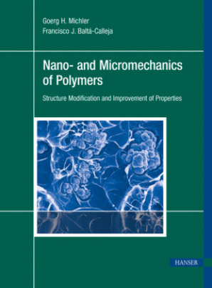 Nano- and Micromechanics of Polymers