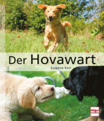 Der Hovawart