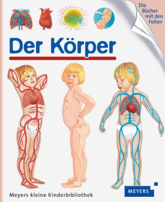 Der Körper