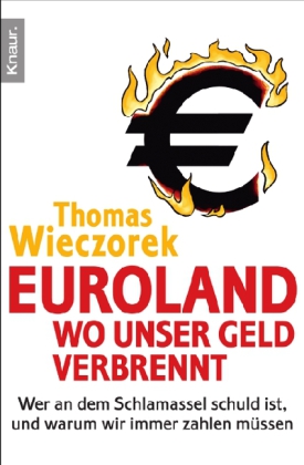 Euroland: Wo unser Geld verbrennt