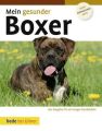 Mein gesunder Boxer