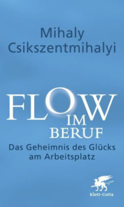 Flow im Beruf