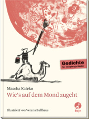 Wie's auf dem Mond zugeht