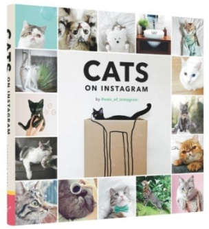 Cats on Instagram