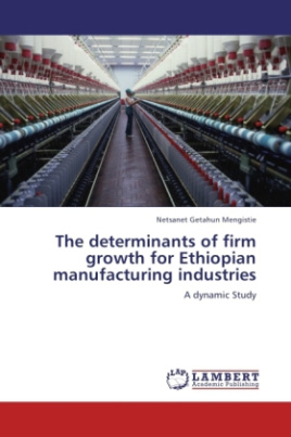 The determinants of firm growth for Ethiopian manufacturing industries