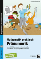 Mathematik praktisch: Pränumerik, m. CD-ROM