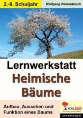 Lernwerkstatt Heimische Bäume