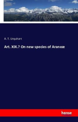Art. XIX.- On new species of Araneæ