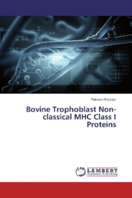 Bovine Trophoblast Non-classical MHC Class I Proteins