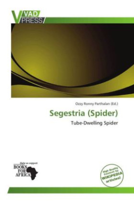 Segestria (Spider)