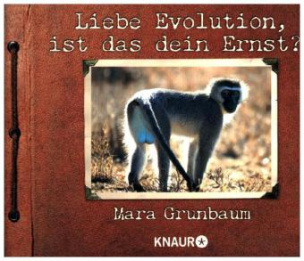 Liebe Evolution, ist das dein Ernst?!