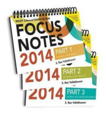 Wiley CIAexcel Focus Notes 2014