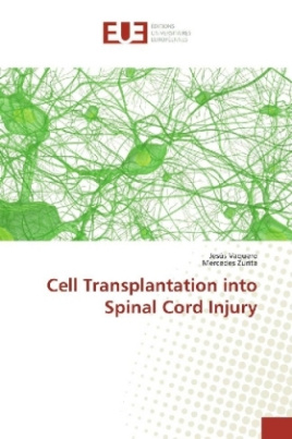 Cell Transplantation into Spinal Cord Injury