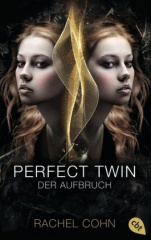 Perfect Twin - Der Aufbruch