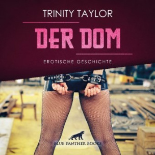 Der Dom - Erotische Geschichte, Audio-CD