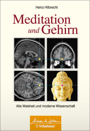 Meditation und Gehirn