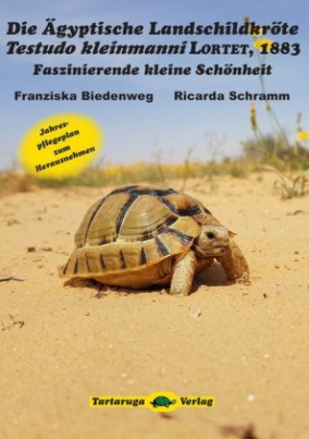 Die Ägyptische Landschildkröte Testudo kleinmanni Lortet, 1883