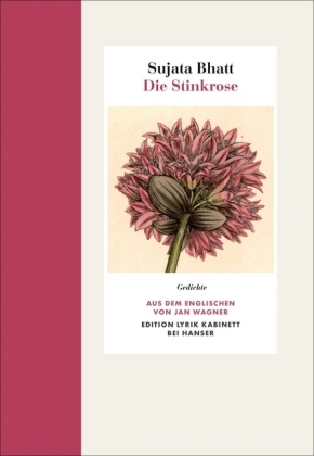 Die Stinkrose