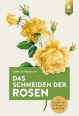 Das Schneiden der Rosen