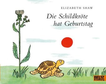 Die Schildkröte hat Geburtstag