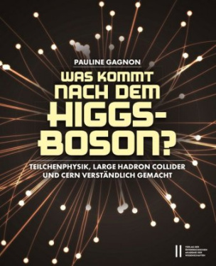 Was kommt nach dem Higgs-Boson?