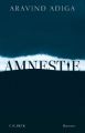 Amnestie