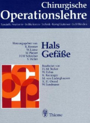 Hals, Gefäße