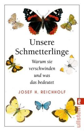 Unsere Schmetterlinge