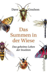 Das Summen in der Wiese