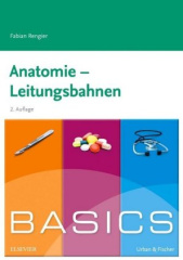 Anatomie - Leitungsbahnen