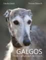 Galgos