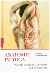 Anatomie im Yoga