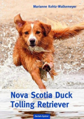 Nova Scotia Duck Tolling Retriever