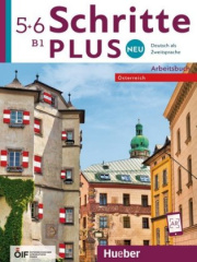 B1 - Arbeitsbuch mit 2 Audio-CDs