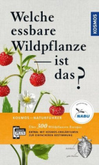 Welche essbare Wildpflanze ist das?